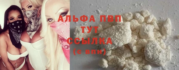 ПСИЛОЦИБИНОВЫЕ ГРИБЫ Михайлов