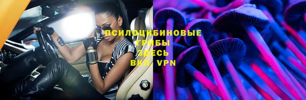 ПСИЛОЦИБИНОВЫЕ ГРИБЫ Михайловск