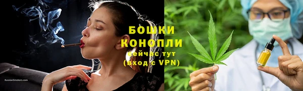 ПСИЛОЦИБИНОВЫЕ ГРИБЫ Михайловск
