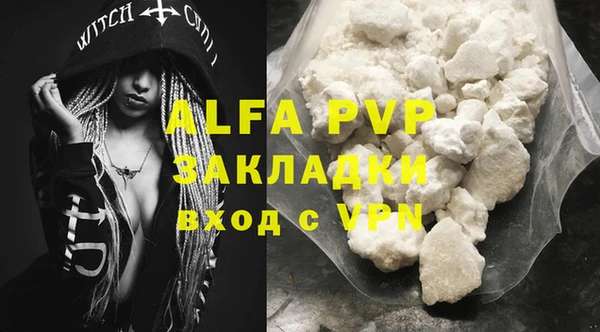 ПСИЛОЦИБИНОВЫЕ ГРИБЫ Михайлов