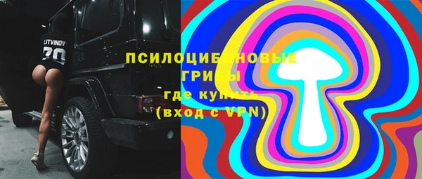 ПСИЛОЦИБИНОВЫЕ ГРИБЫ Михайлов