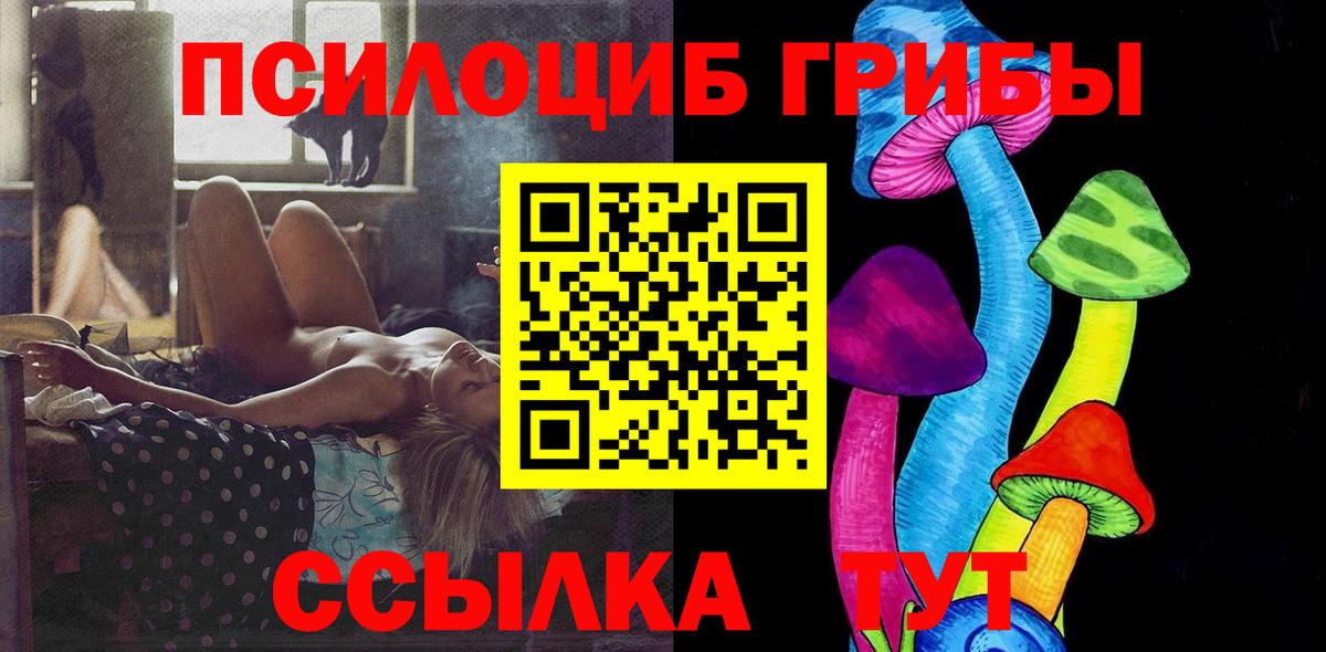 Псилоцибиновые грибы Psilocybine cubensis Ялта
