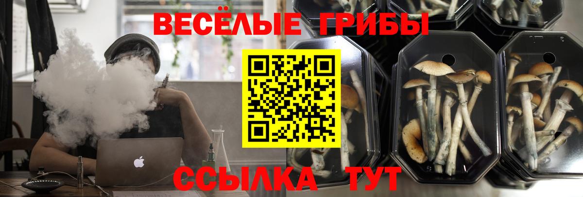 Псилоцибиновые грибы GOLDEN TEACHER Ялта